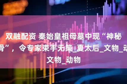 双融配资 秦始皇祖母墓中现“神秘头骨”，令专家束手无策_夏太后_文物_动物