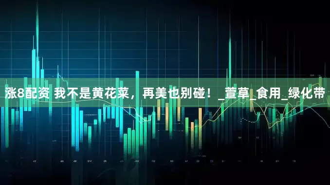 涨8配资 我不是黄花菜，再美也别碰！_萱草_食用_绿化带